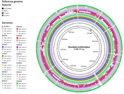 Emergence of Raoultella ornithinolytica in human infections from different hospitals in Ecuador with OXA-48-producing resistance